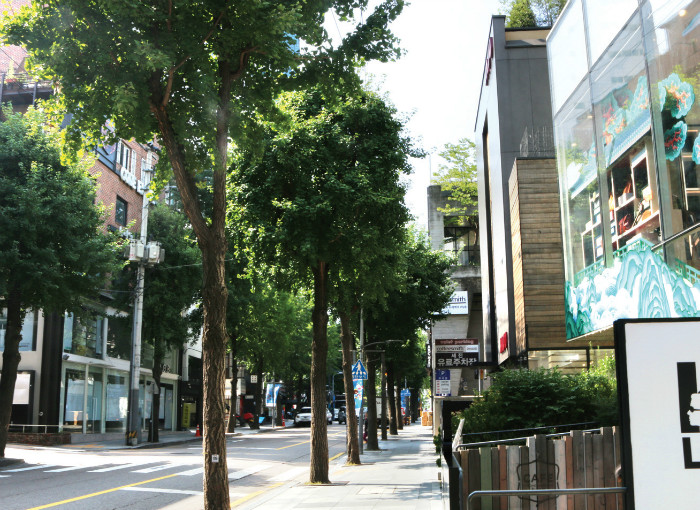 Garosu-gil of Sinsa-dong. A street busy with fashion-minded young shoppers